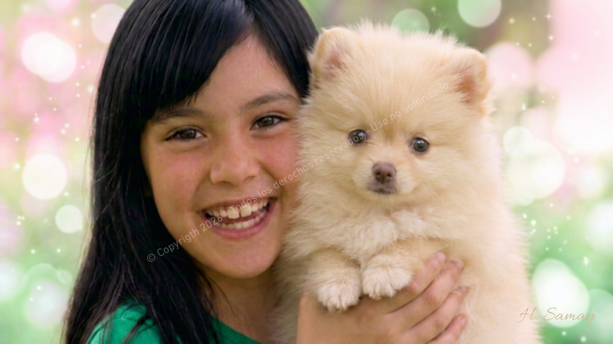 Infancia Feliz — niña sonriente abrazando cachorro Pomerania dorado
