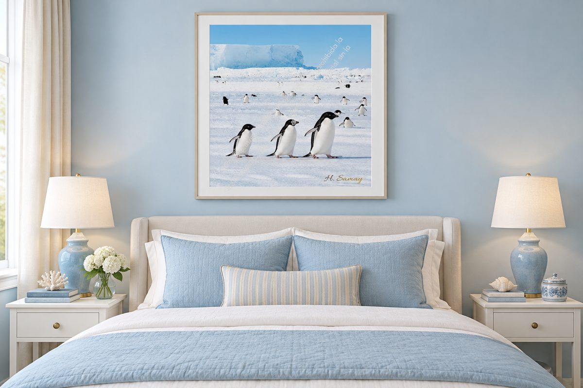 Pingüinos en fila presentado en un dormitorio para adultos.